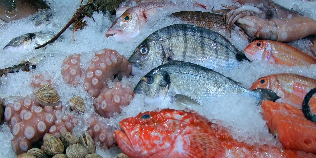 Balık ve deniz ürünleri